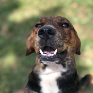 Meet your Posher, Breanne